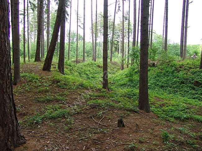 Daskabát