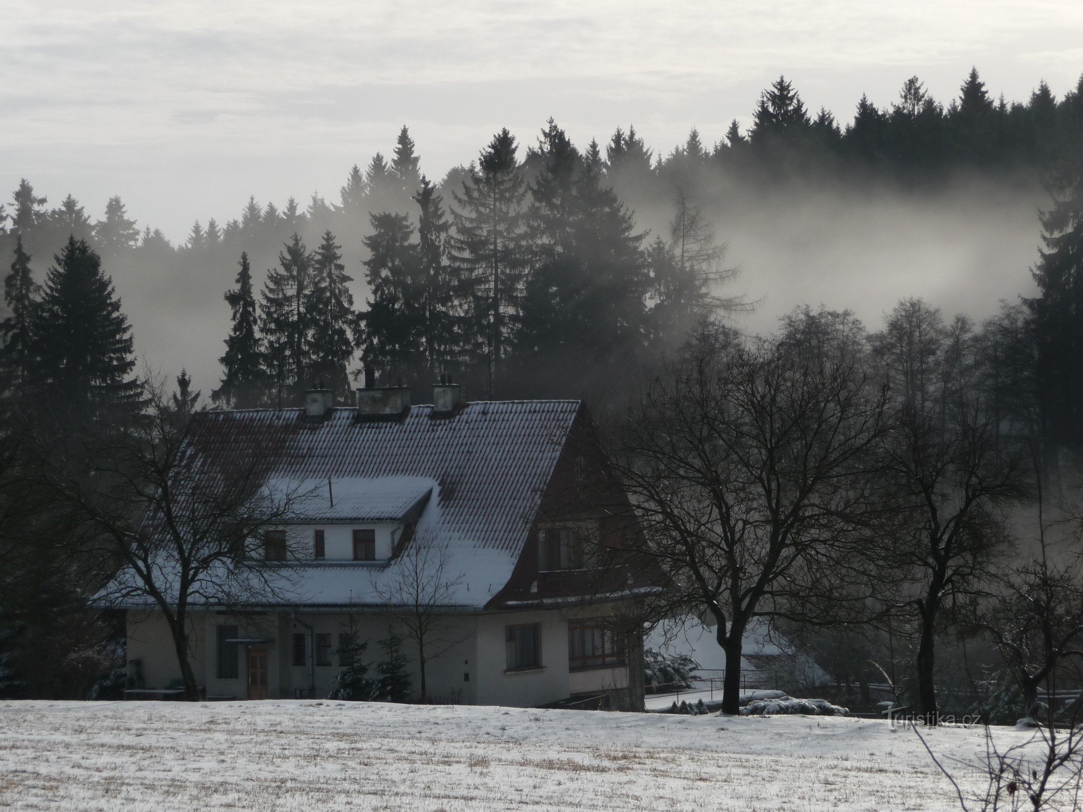 Dashov in winter