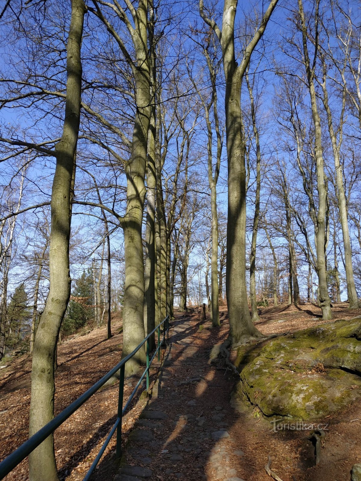 Hospital de Děčín - Stoličná hora - Guardia del Elba - Cruce de caminos de Liščí - Mirador rosa