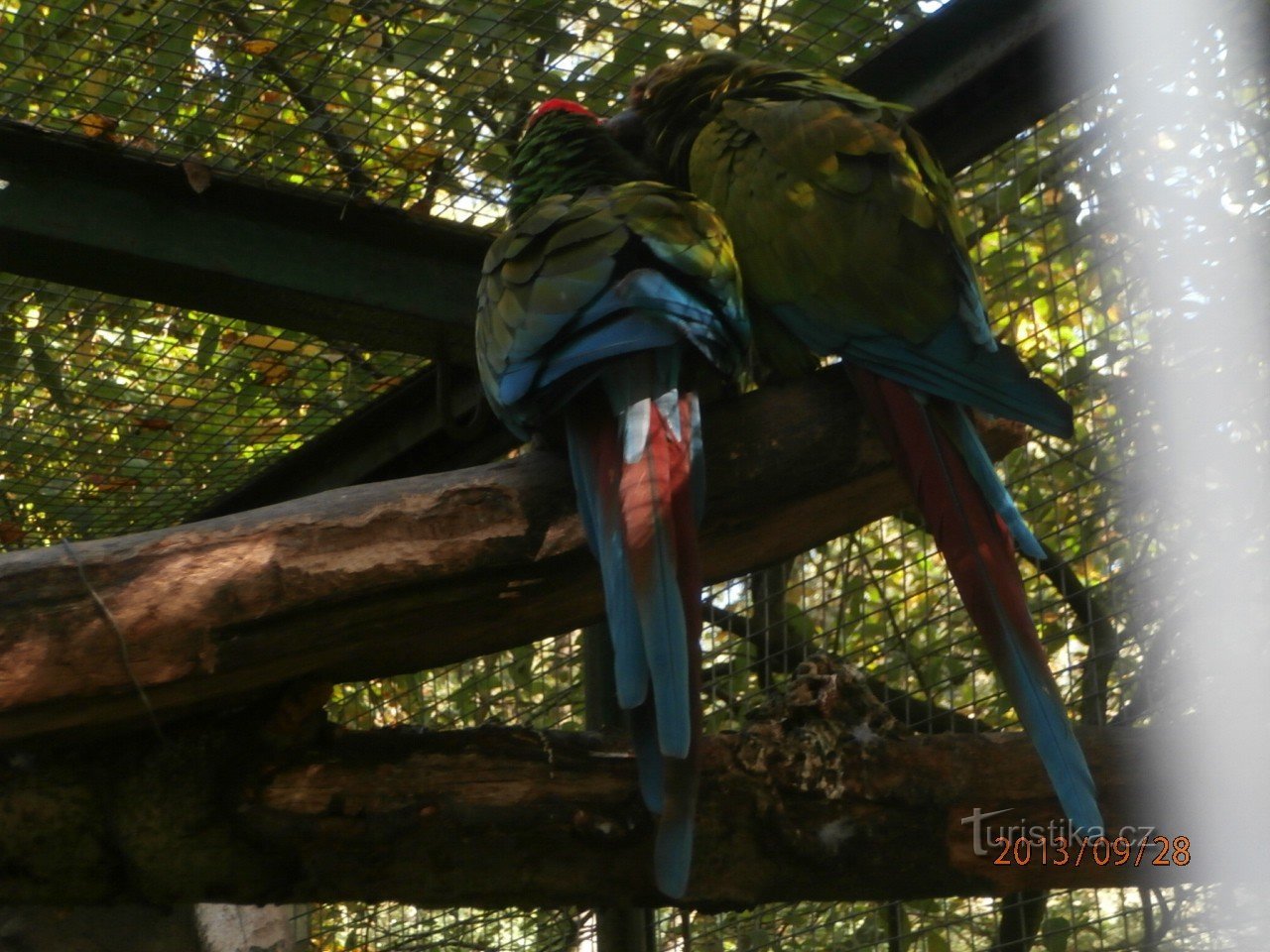 Děčín: ZOO and castle