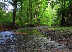 Village près de Dobruska