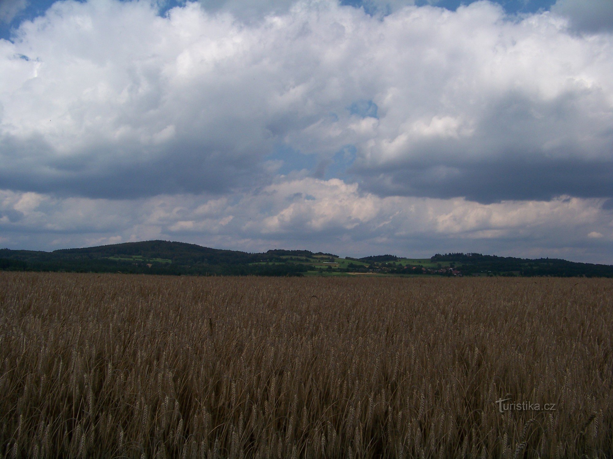 Muntele Bunicul dinspre sud