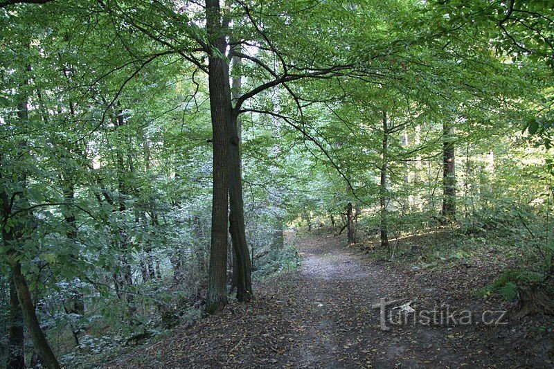 La colline de grand-père