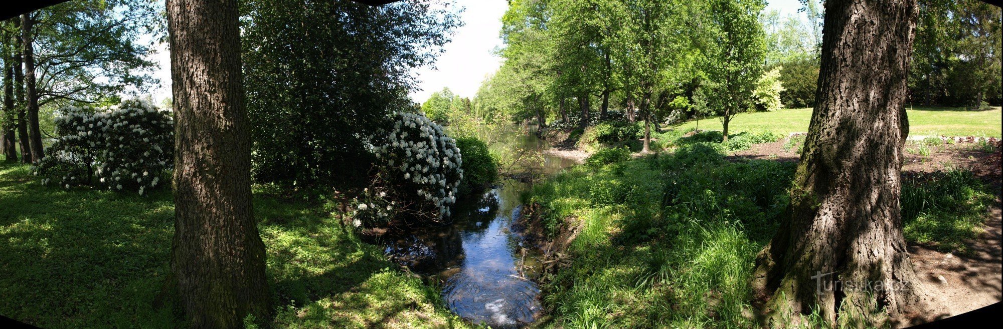 Dendrologiska trädgården