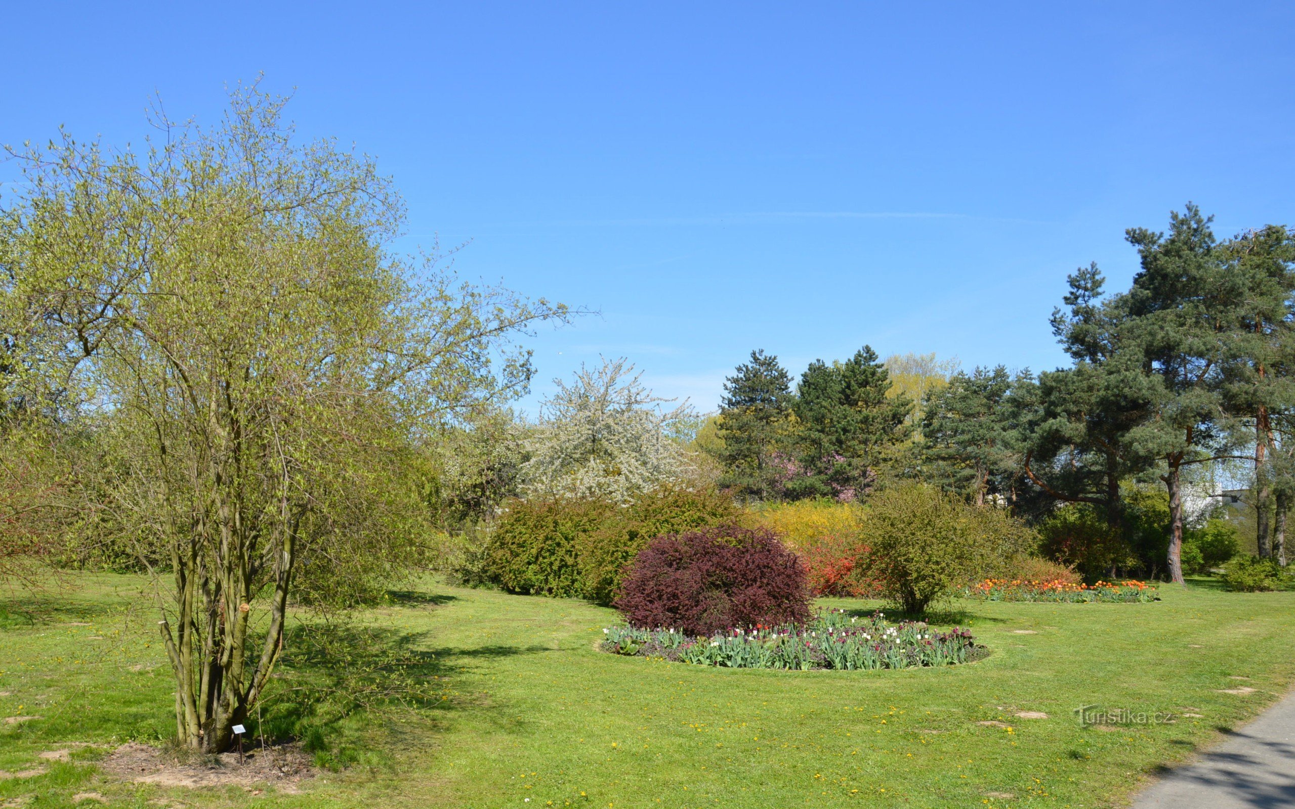 Dendrologische tuin, een waardige concurrent van het park in Průhonice.