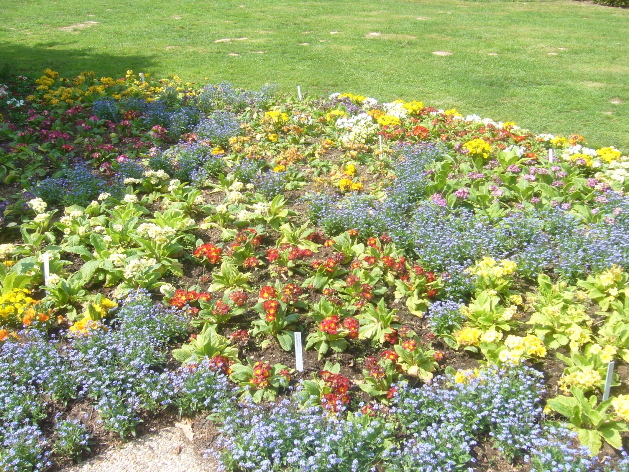 Vườn hoa ngọc thảo Průhonice