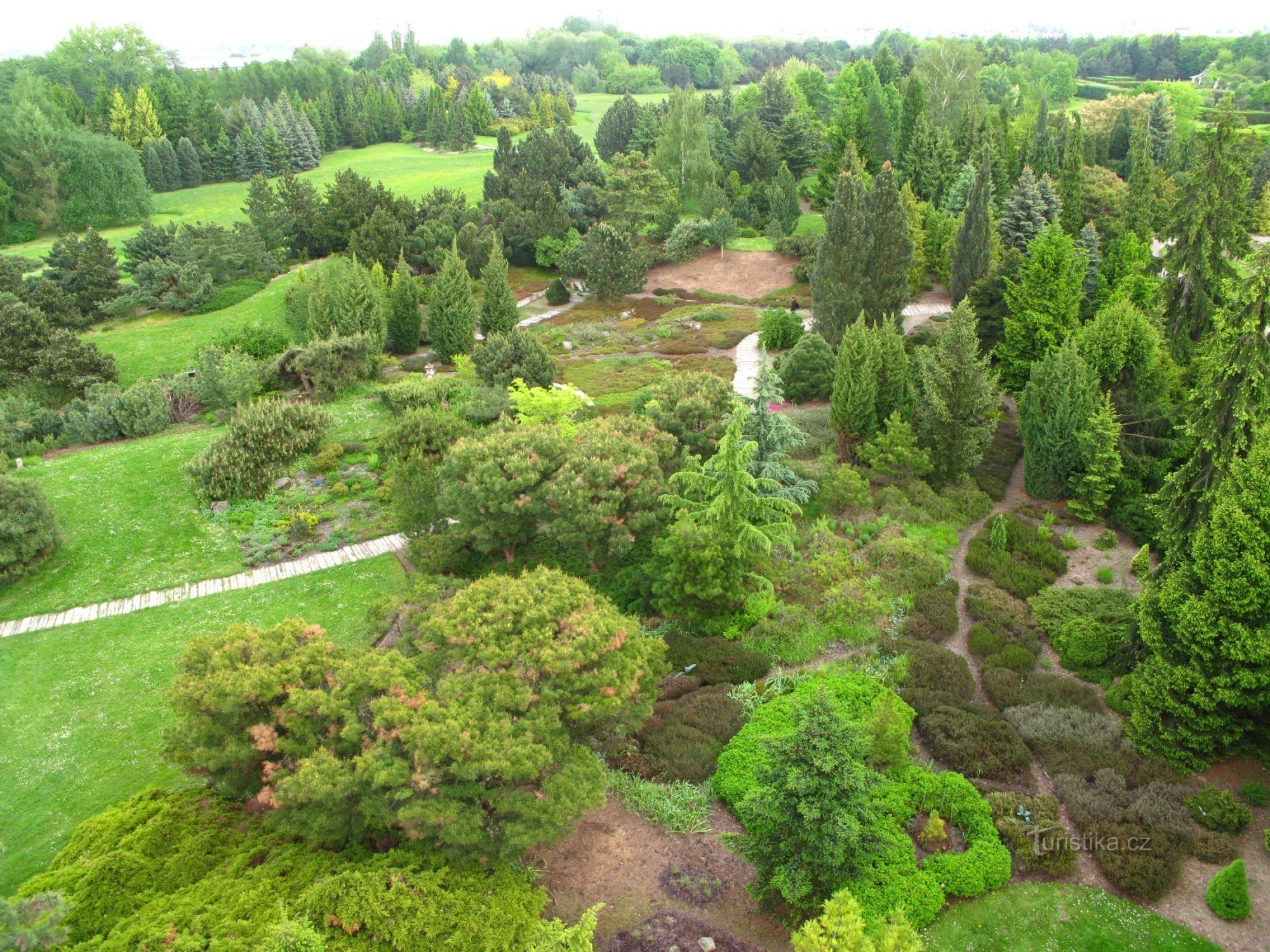 Dendrologiska trädgården från en höjd av 2