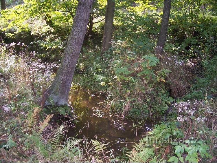 Torrente Děrenský: Veduta del torrente Děrenský