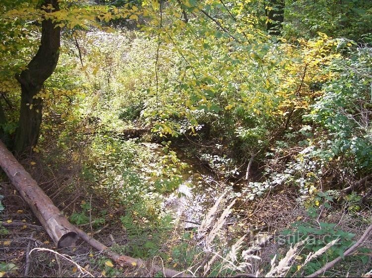Děrenský stream: デレンスキー川の眺め
