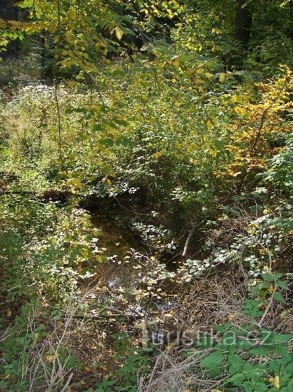 Fluxo Děrenský: Vista do fluxo Děrenský