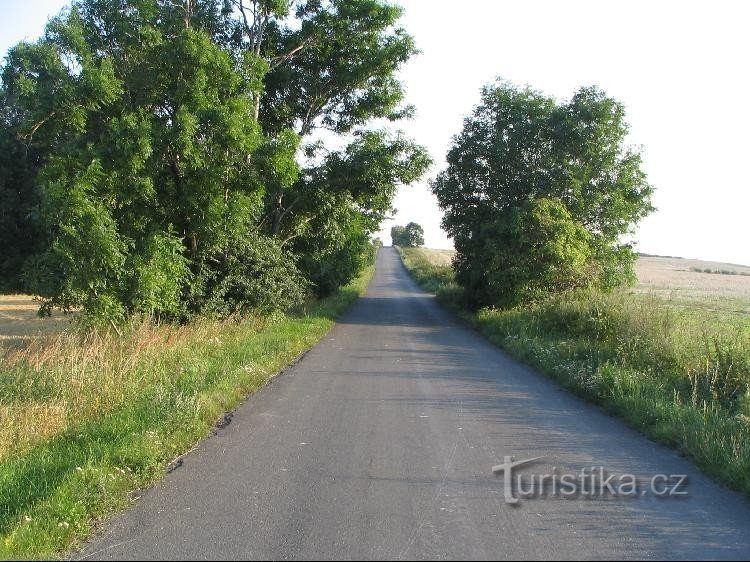 Дерне - дорога, направление Дерне