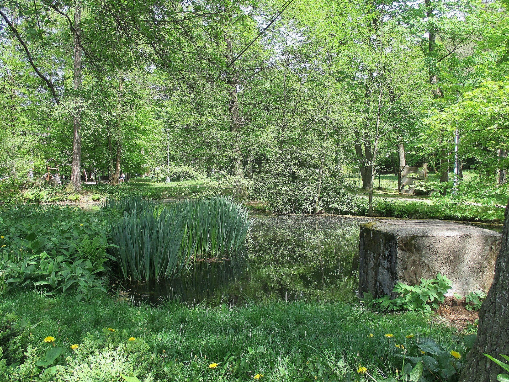 Desná im Isergebirge - Riedls Villa