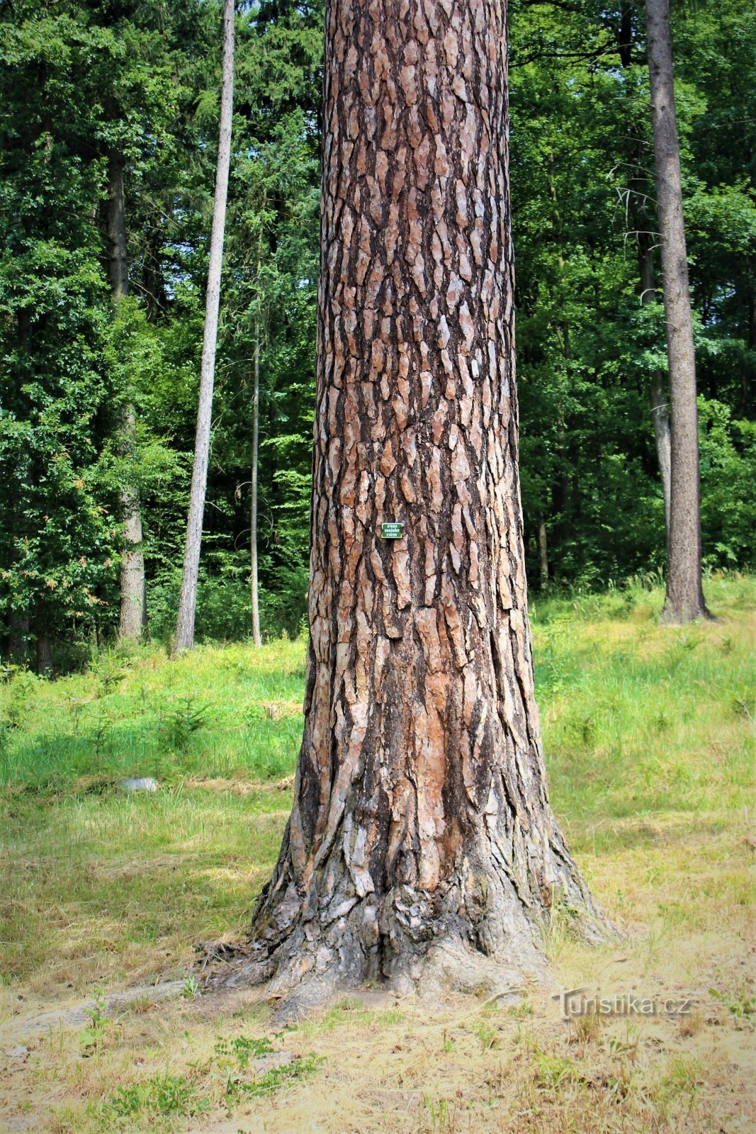 Detail kofferbak met bordje