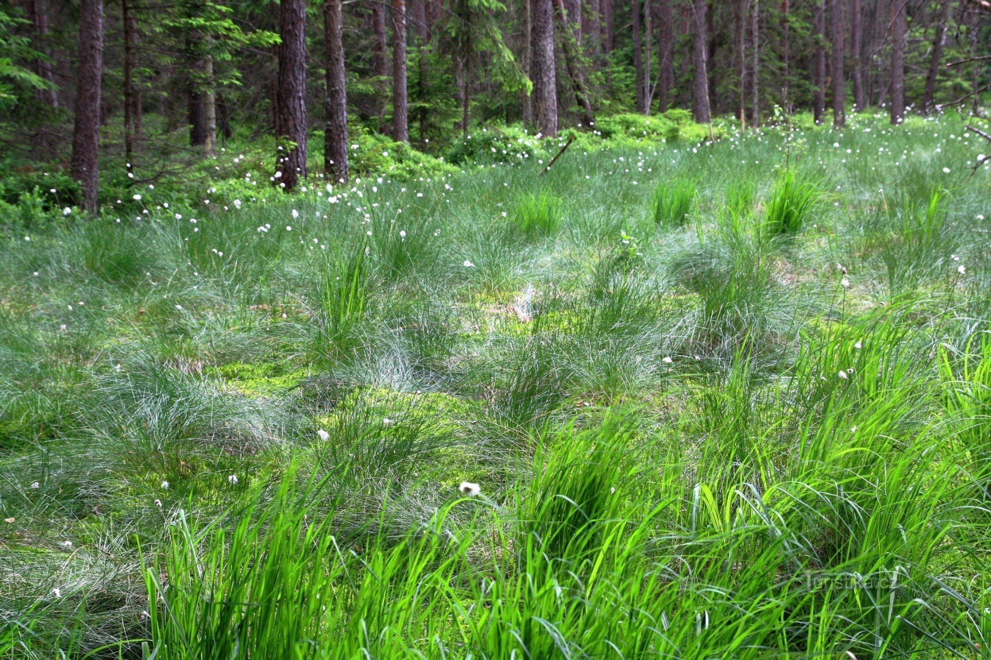 Szczegóły lokalizacji