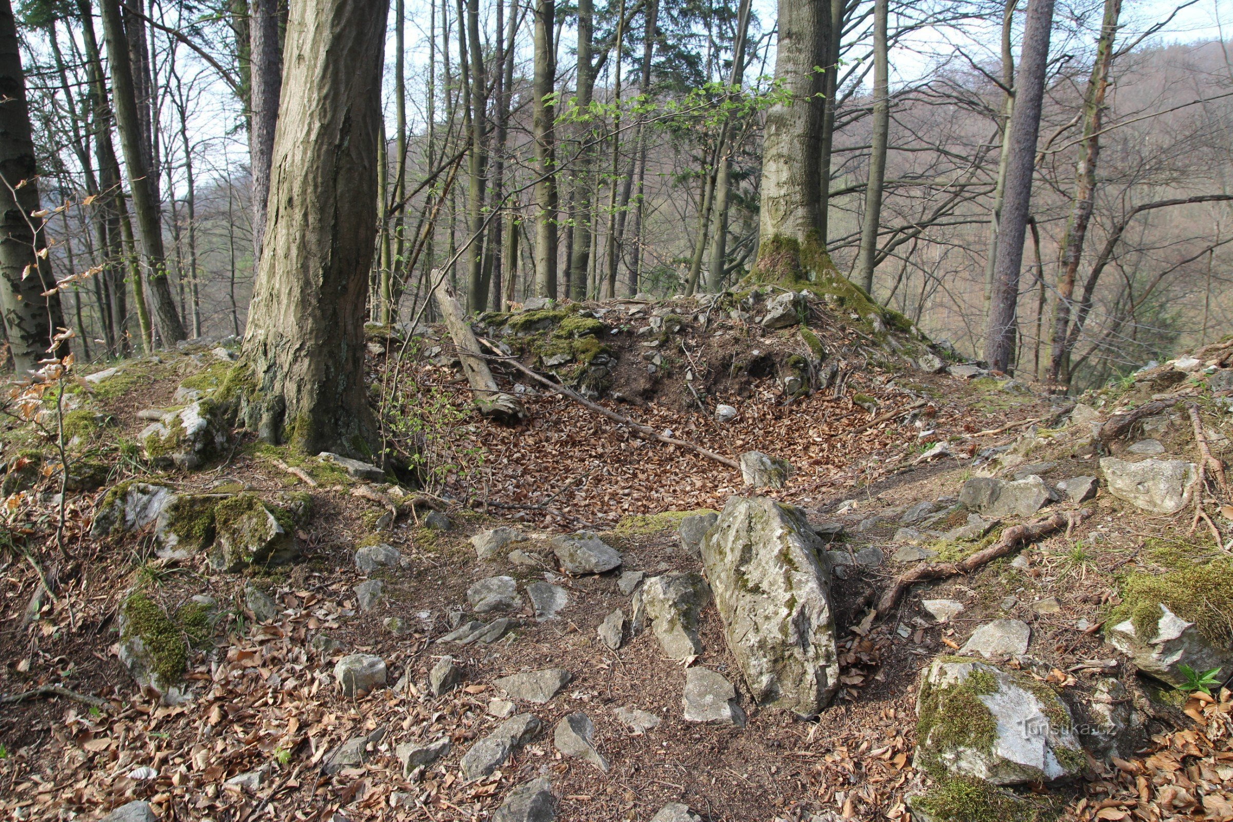 Detail of the highest part of the castle