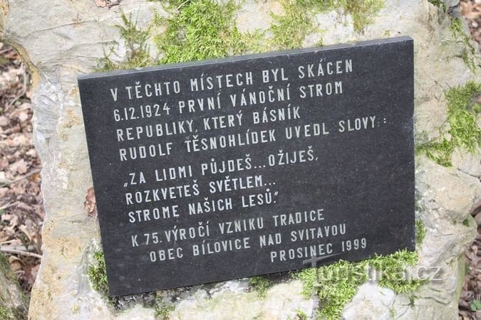 Detail of the commemorative plaque