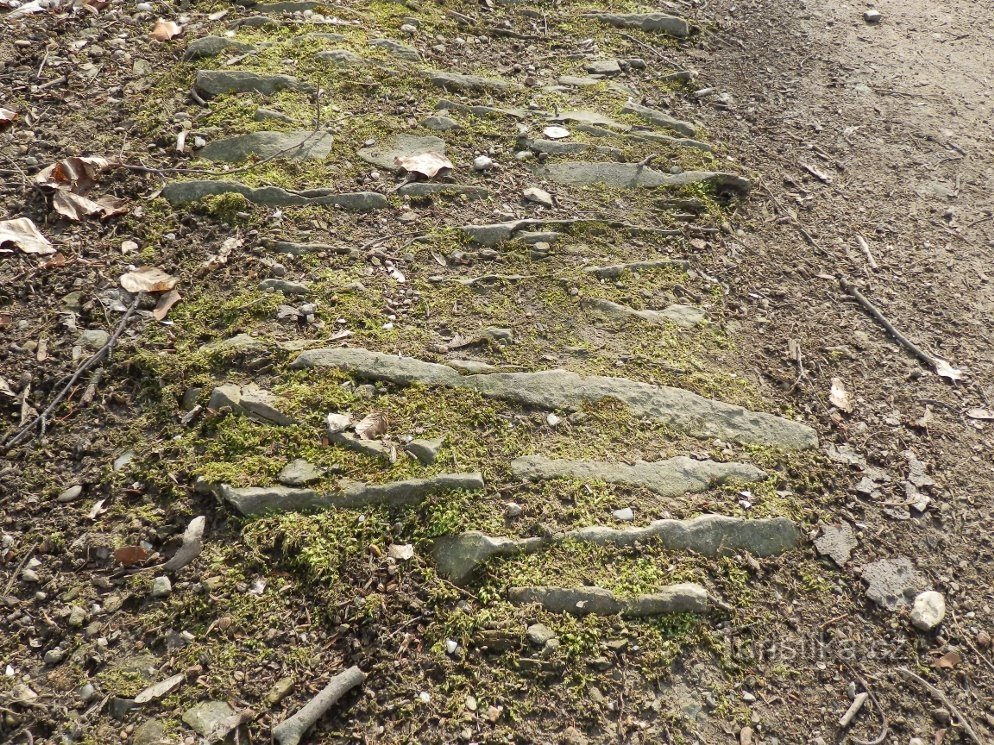 Détail de la surface de la route en brosse