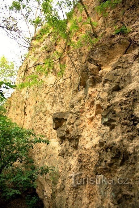 Particolare della parete rocciosa