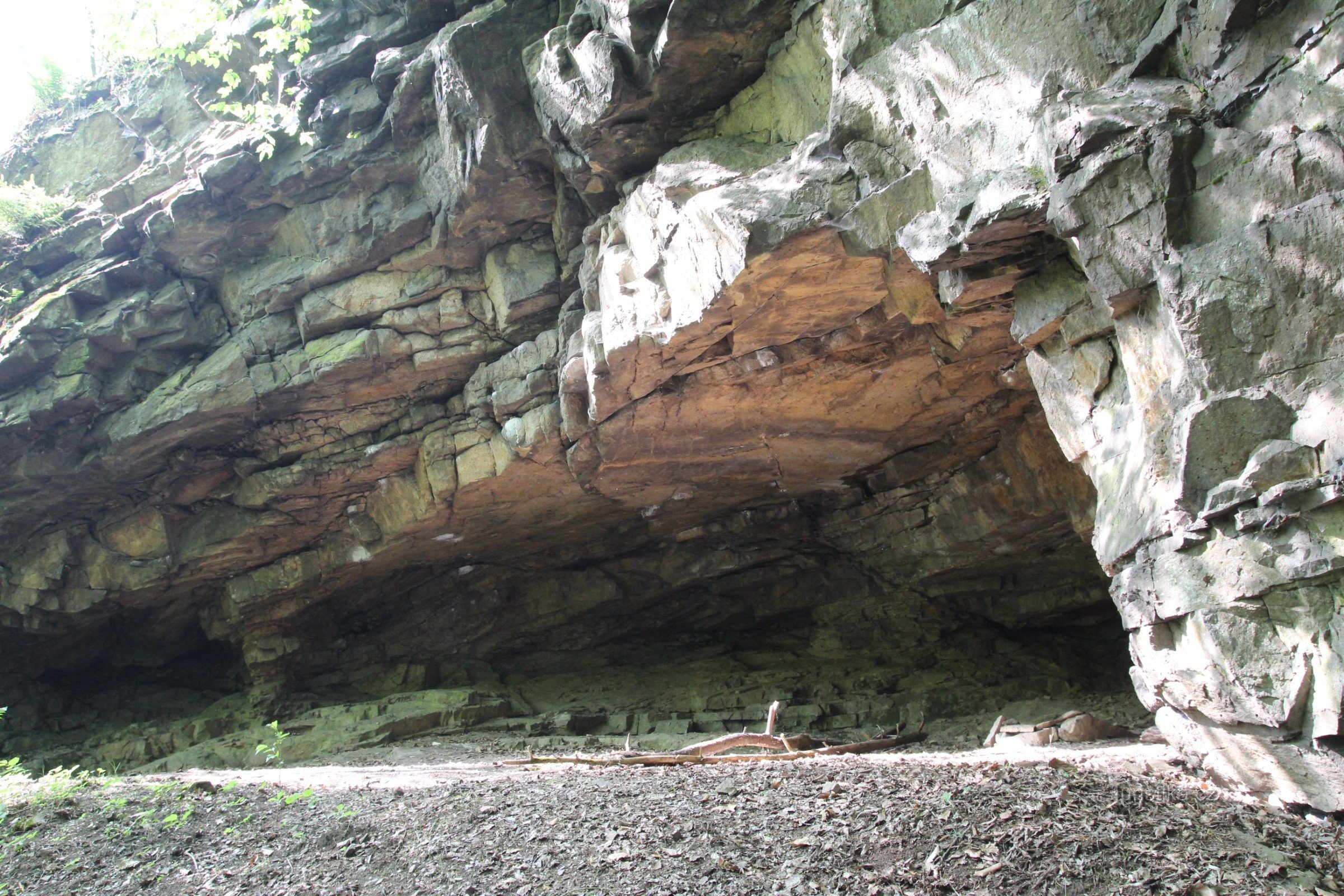 Particolare della parete rocciosa sopra la grotta