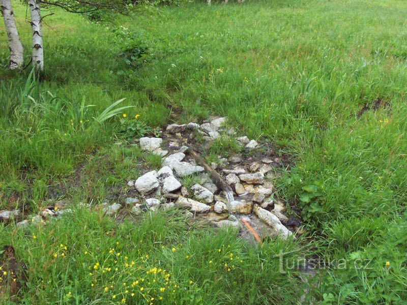 Detail of the well