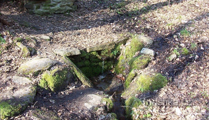 Detail studánky