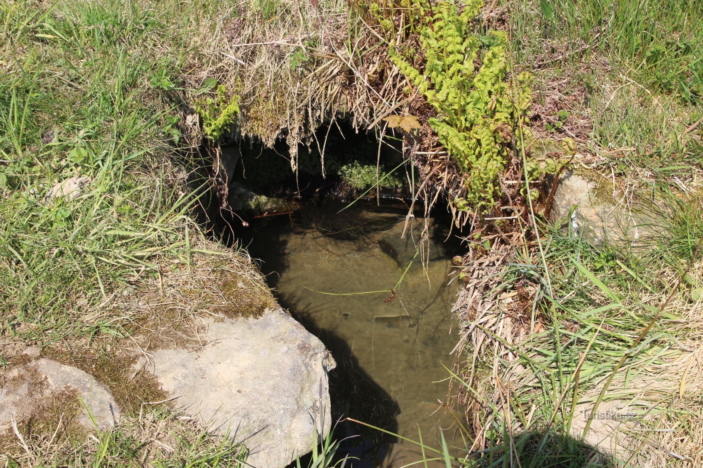 Detail of the well