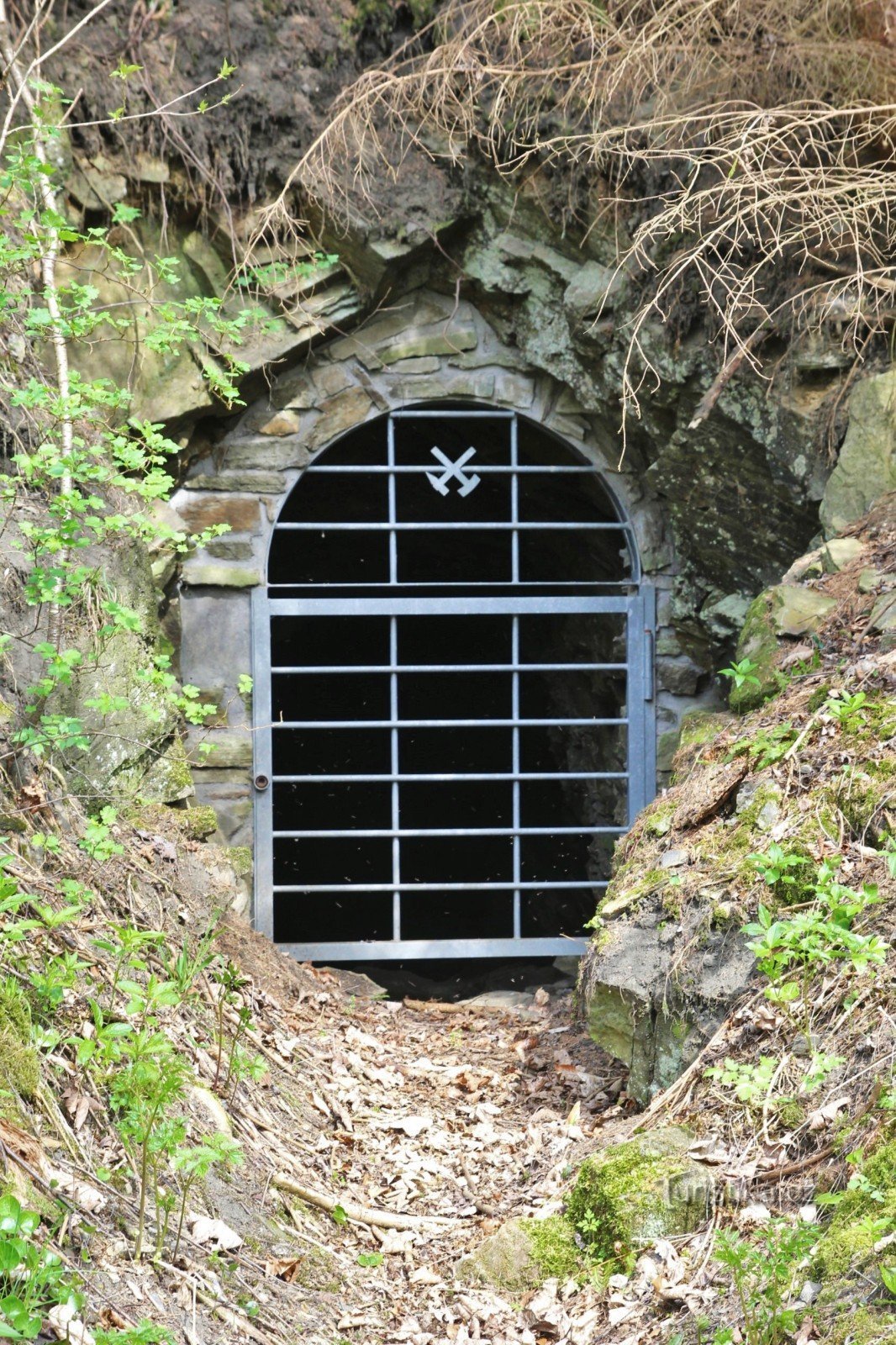 Detaliu portal de intrare