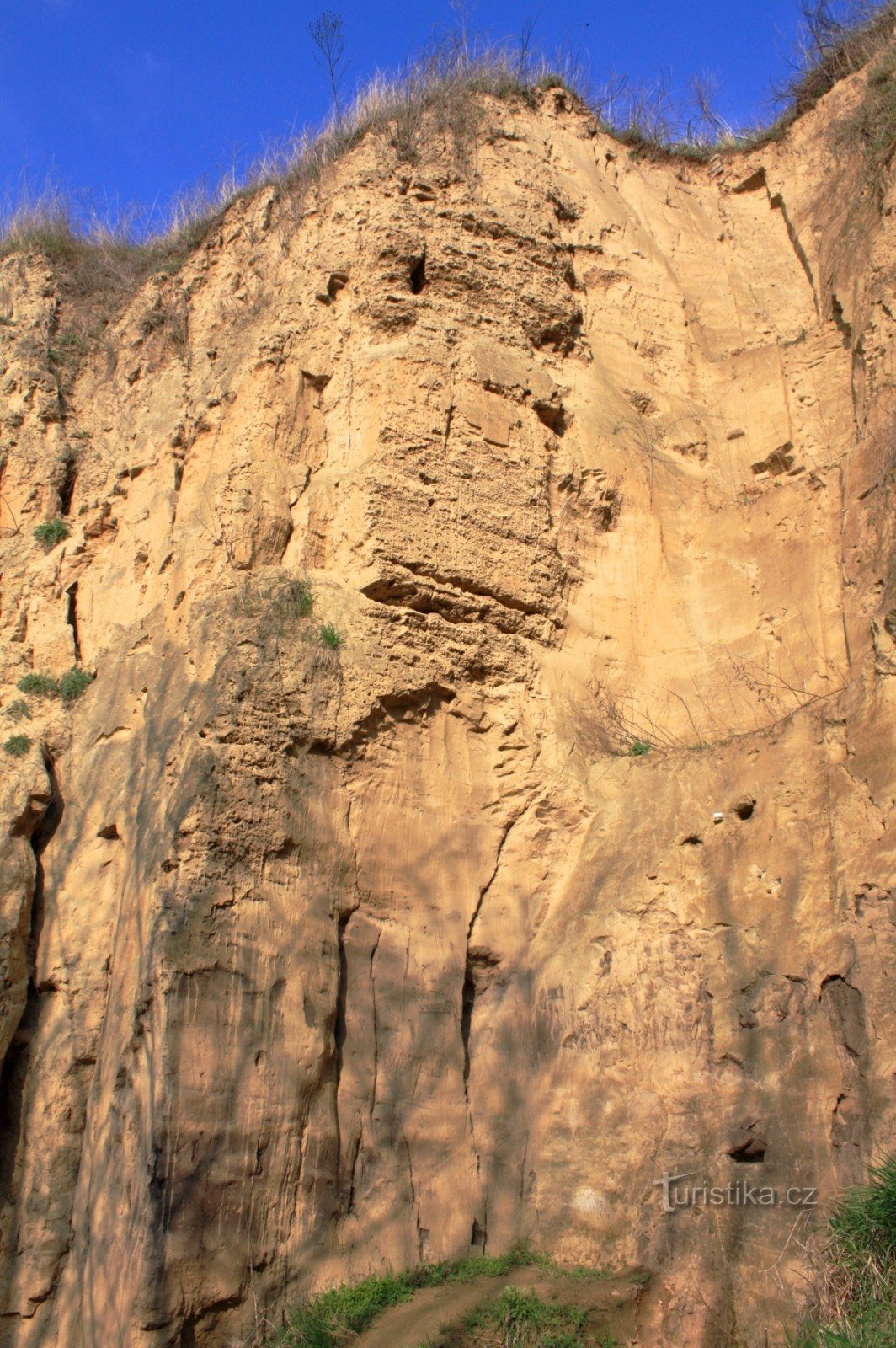Una vista dettagliata della parete della cava di sabbia
