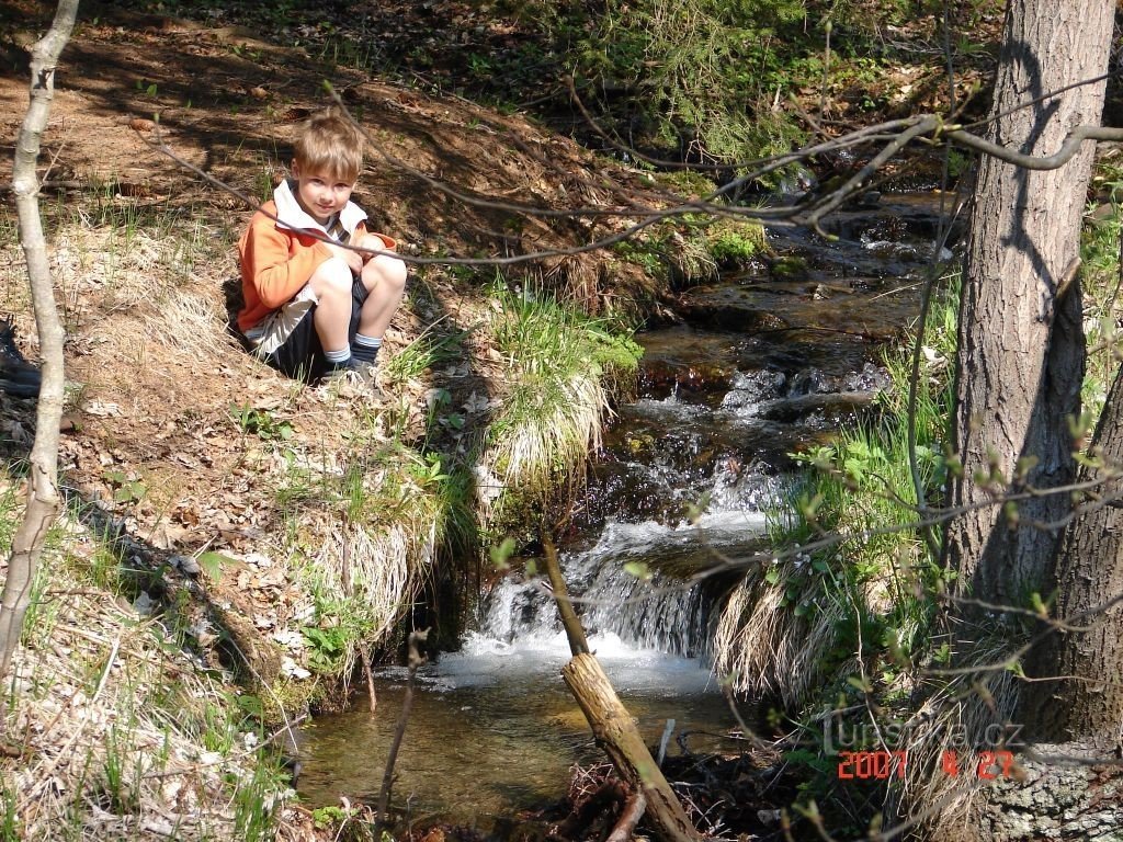 Les enfants profiteront des joies des forêts environnantes