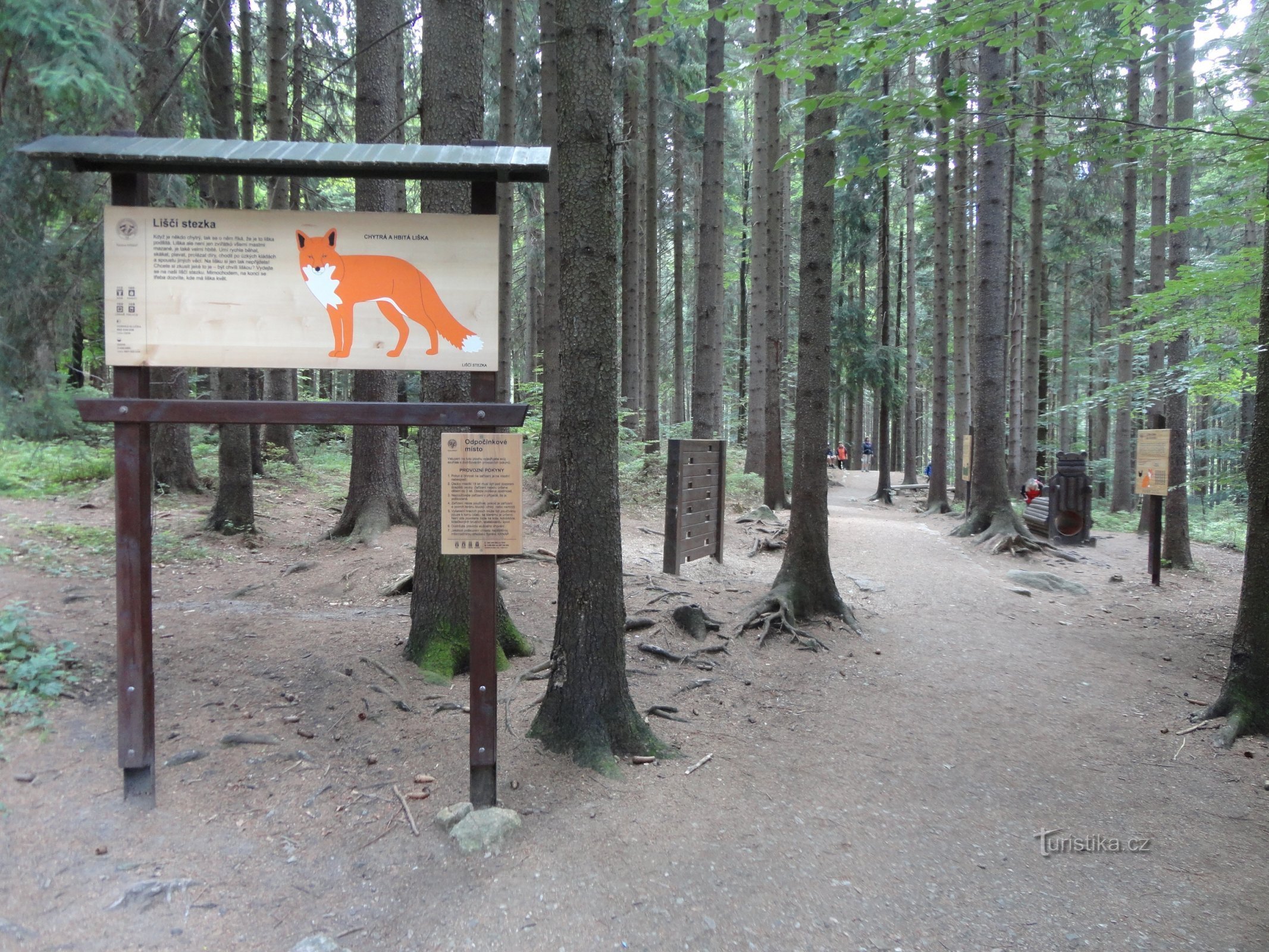 children's fox trail