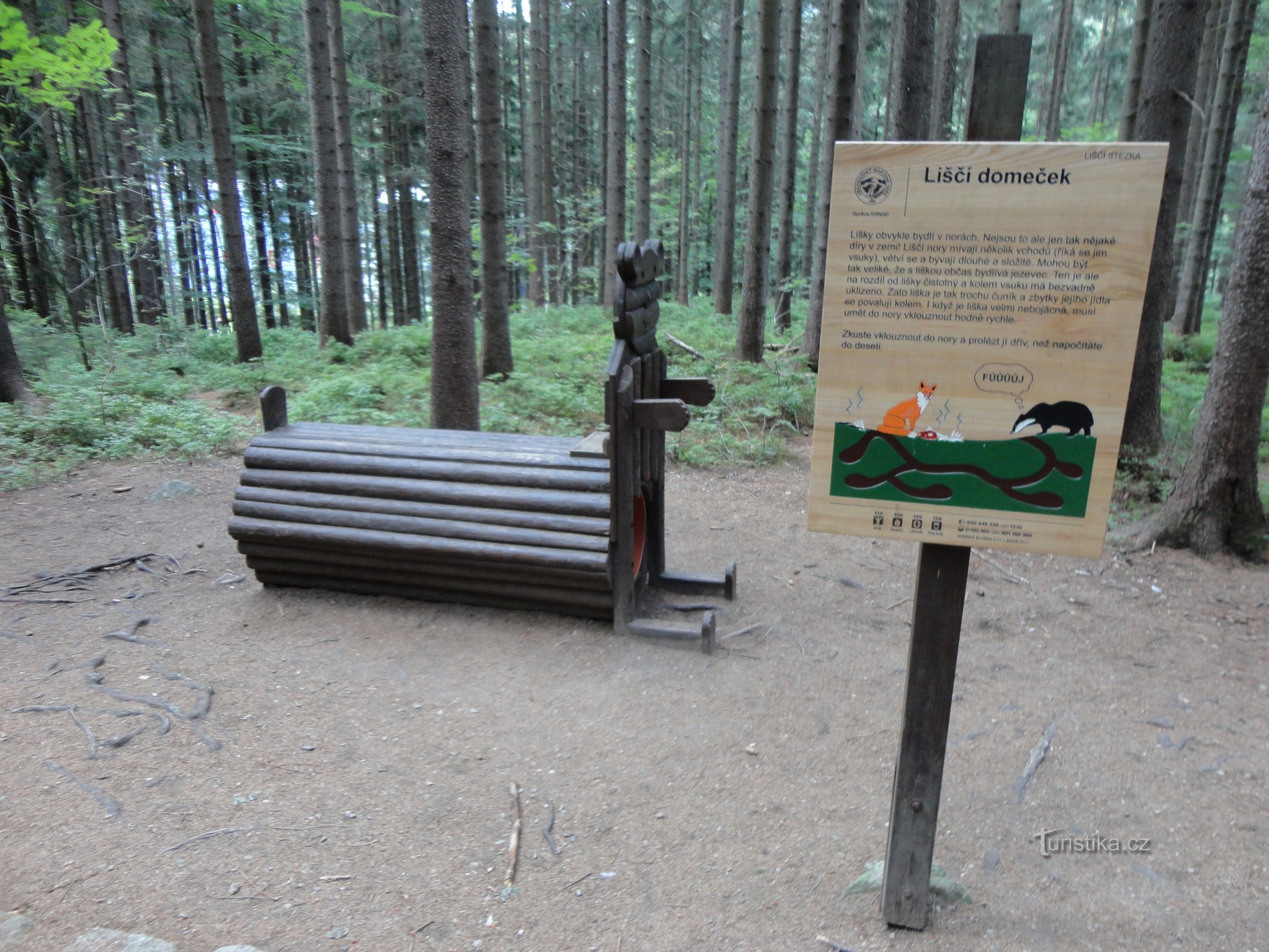 Sentier du renard pour enfants - La maison du renard