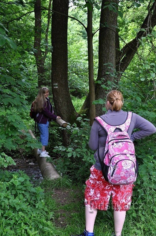 Le ragazze superano il primo ostacolo