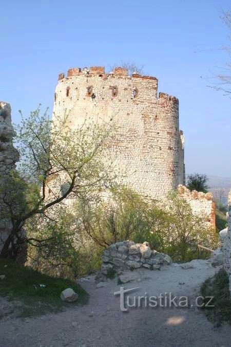 Doncellas - ruinas del castillo - torre de vigilancia