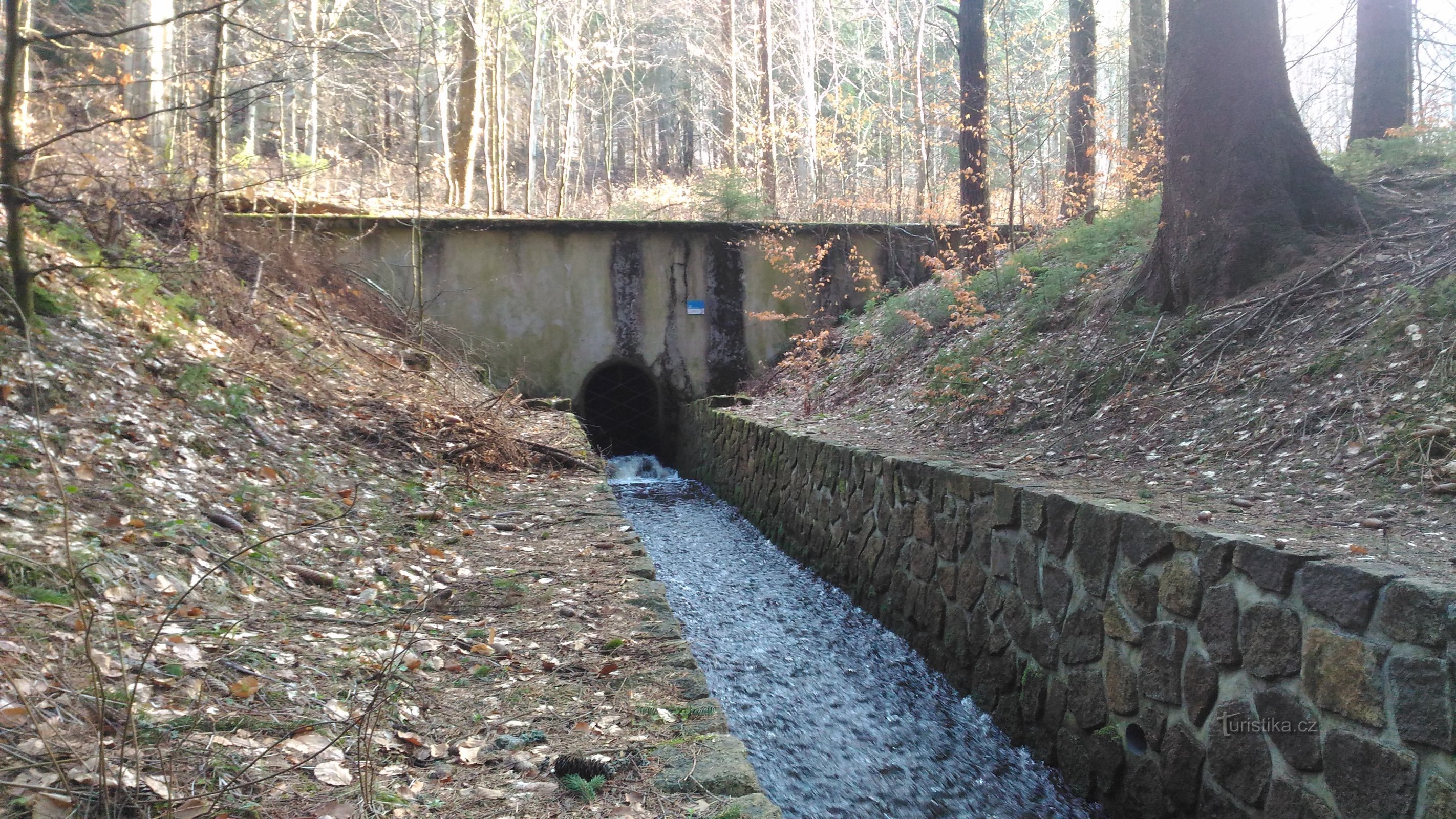 Dieter's tunnel.