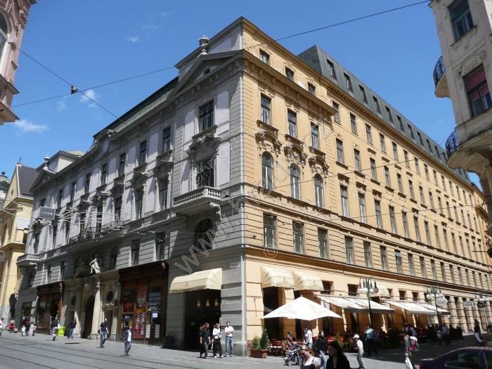 Dietrichštejnský hraběcí palác - Salmovský palác