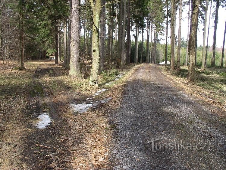 Delen van het kruispunt: Rechts MTZ naar Popice, links ZTZ naar Kostelka