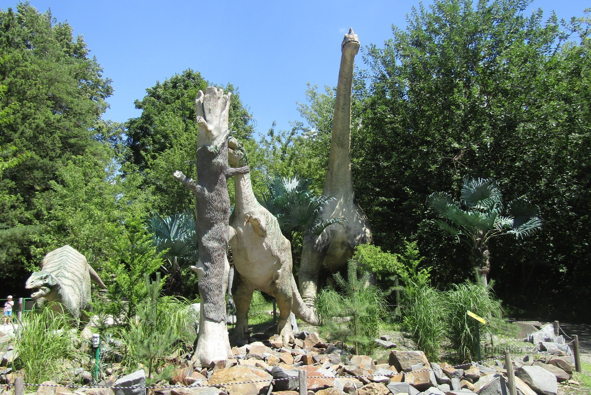 dino park