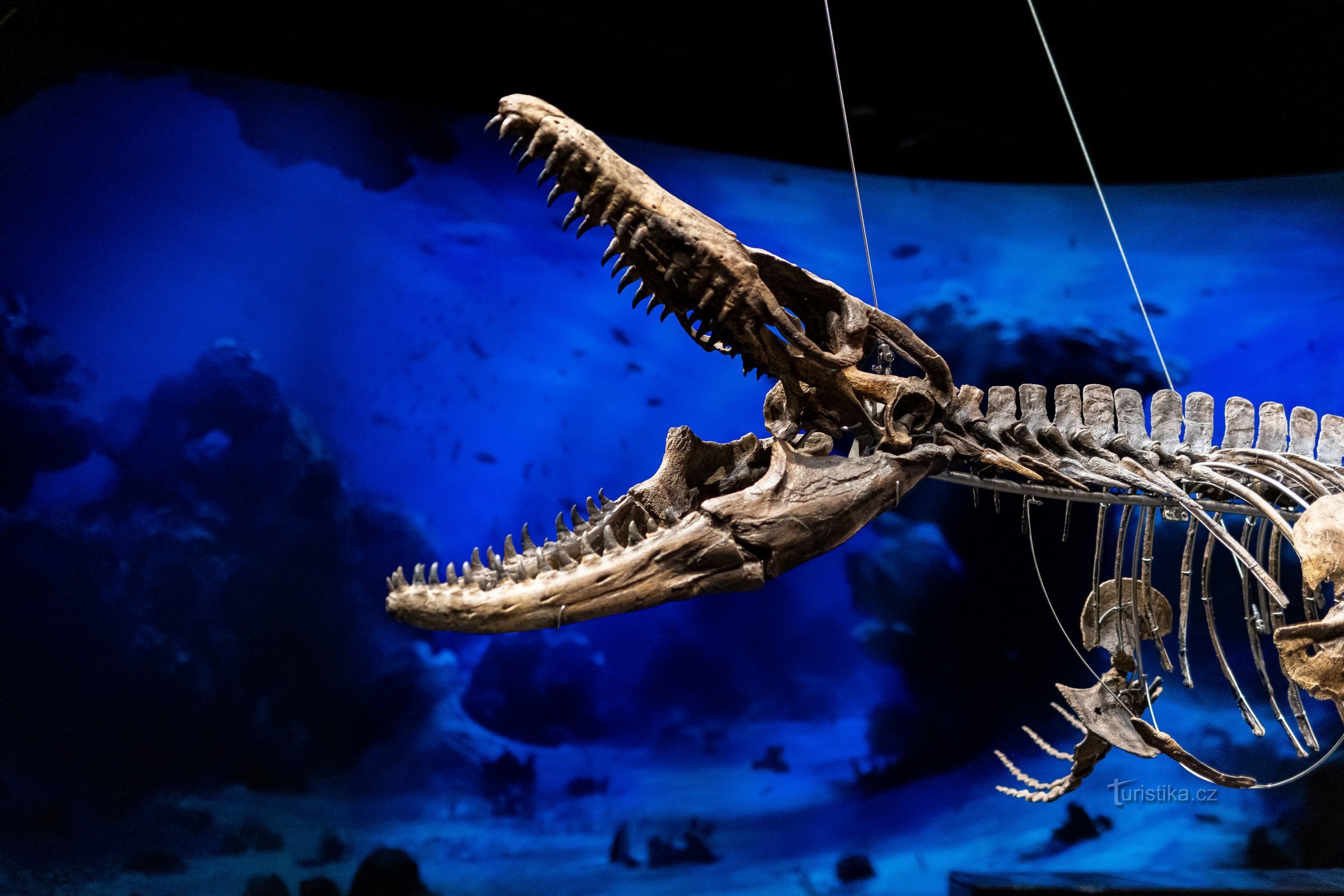 Muzej dinozavrov v Pragi - Dinosauria Praga