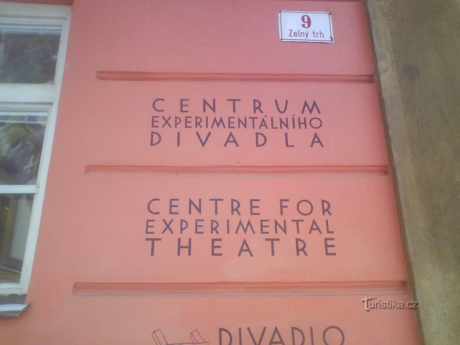 Ganso em um teatro de cordas