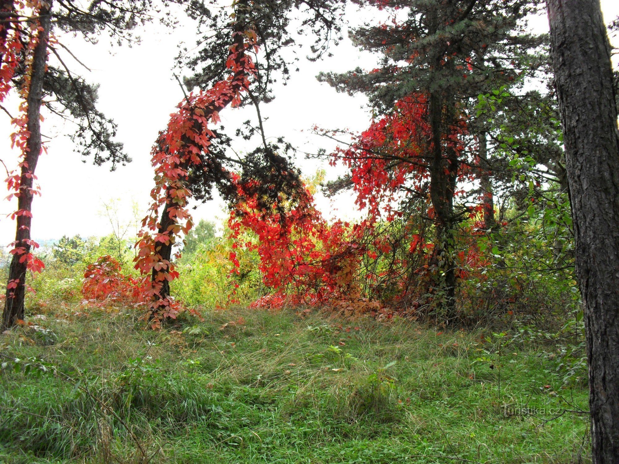 Mädchenschlösser - ein romantischer Naturspaziergang in Prag