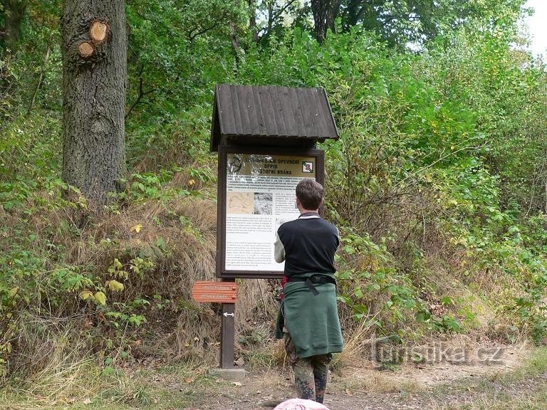 Dekliški kamen - grajske razvaline