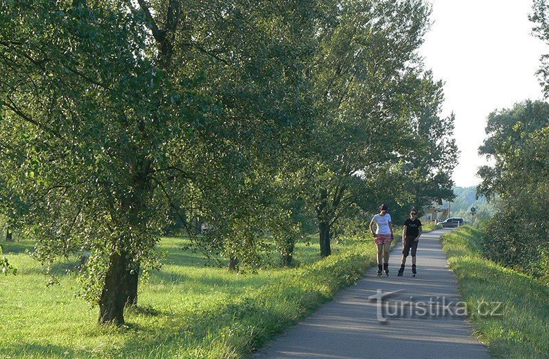 Mädchen, die die Spur auf Schlittschuhen in Angriff nehmen