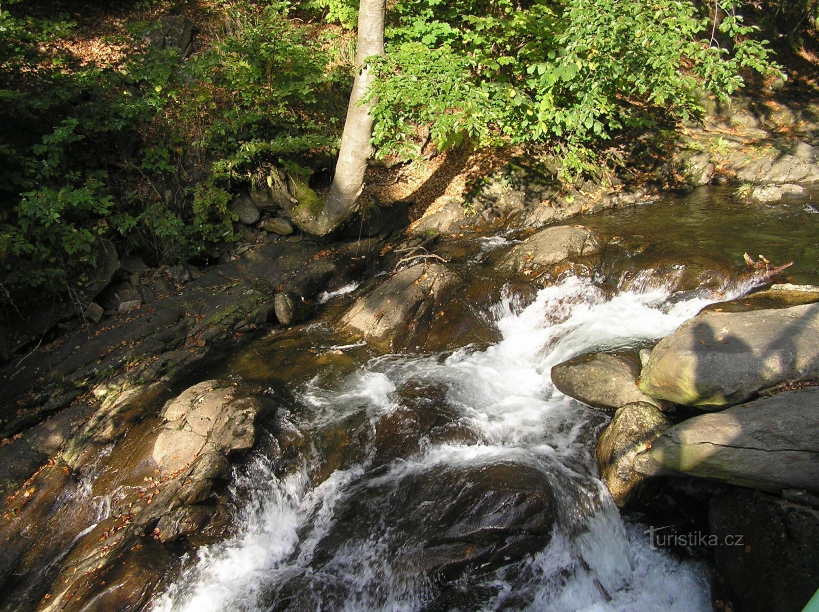 Divoká Desná (la naturaleza torrencial del arroyo arriba