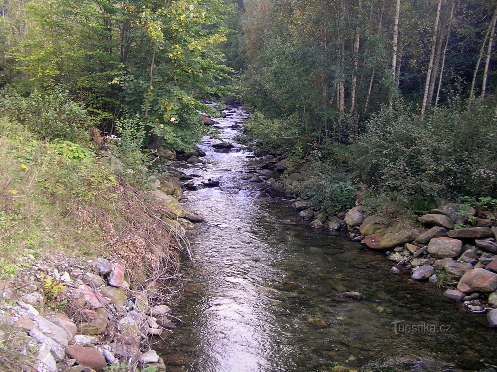 Divoká Desná (abaixo da barragem - outubro de 2006)