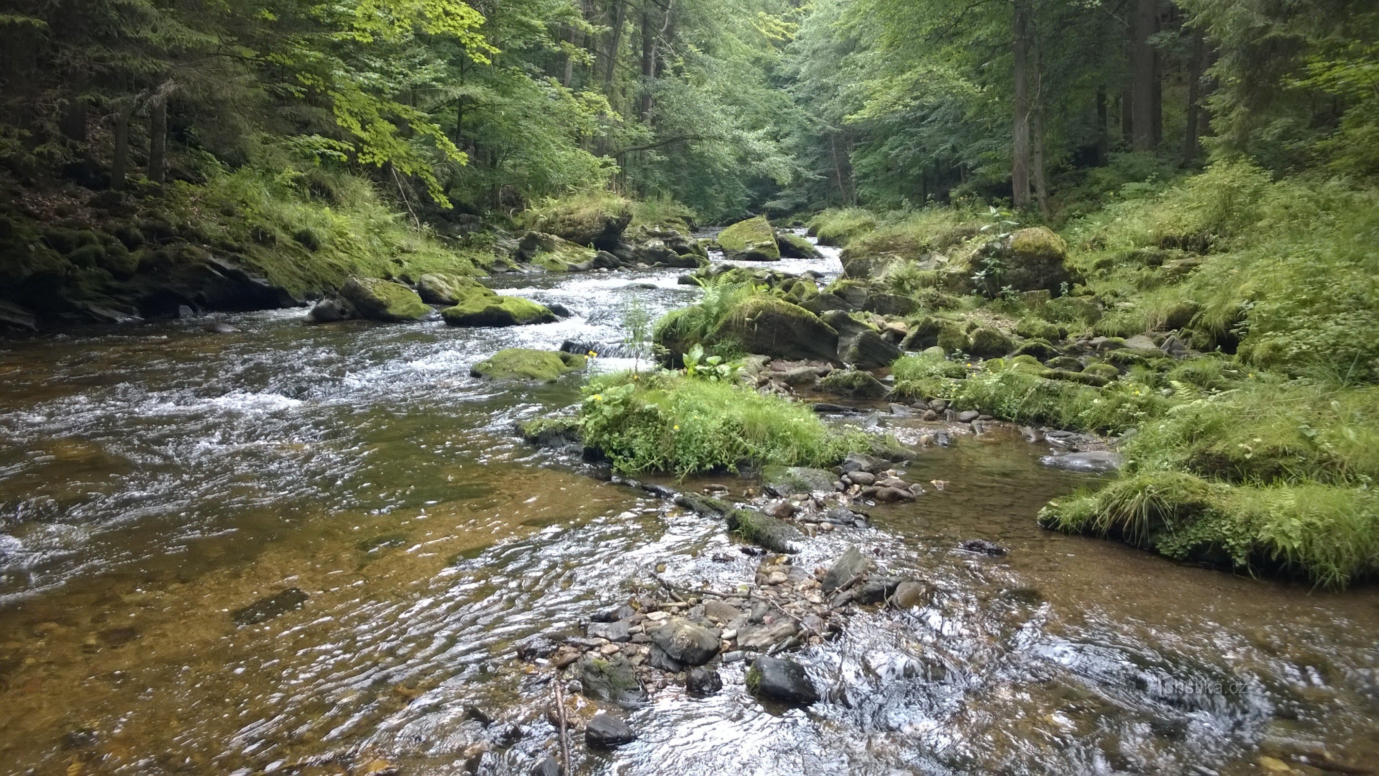 Vad Kamenice