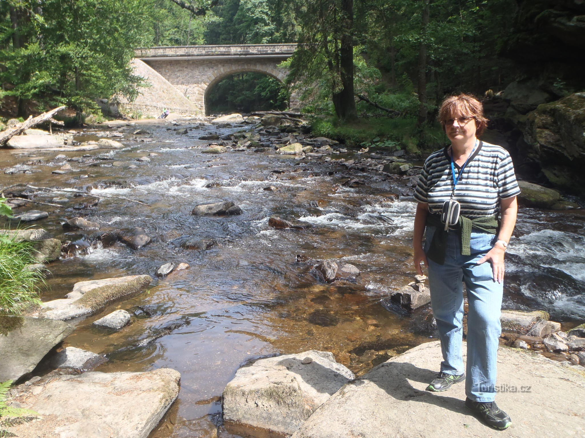 Aigle sauvage et le pont