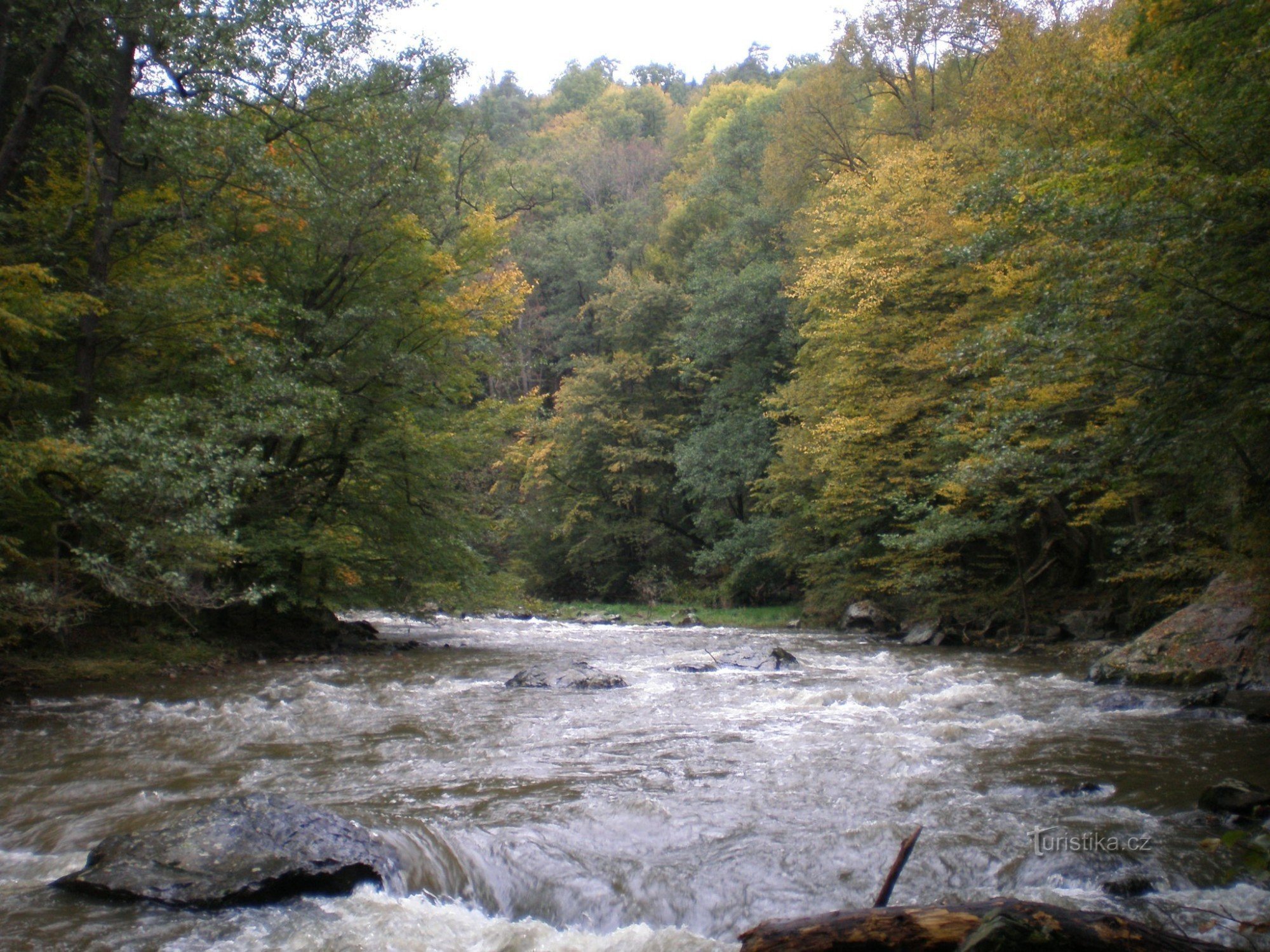 Дика вечірка