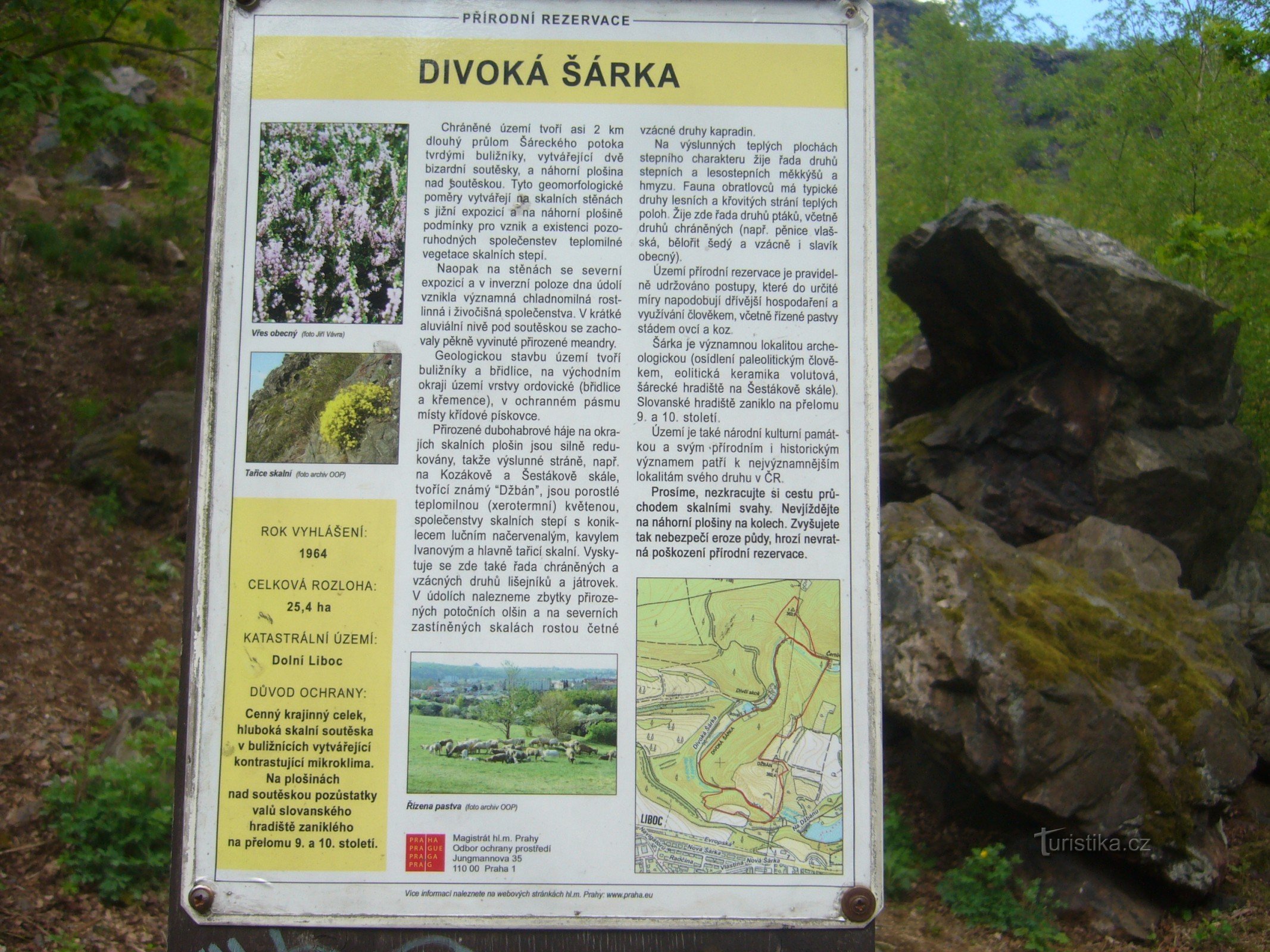 Wild Sárka