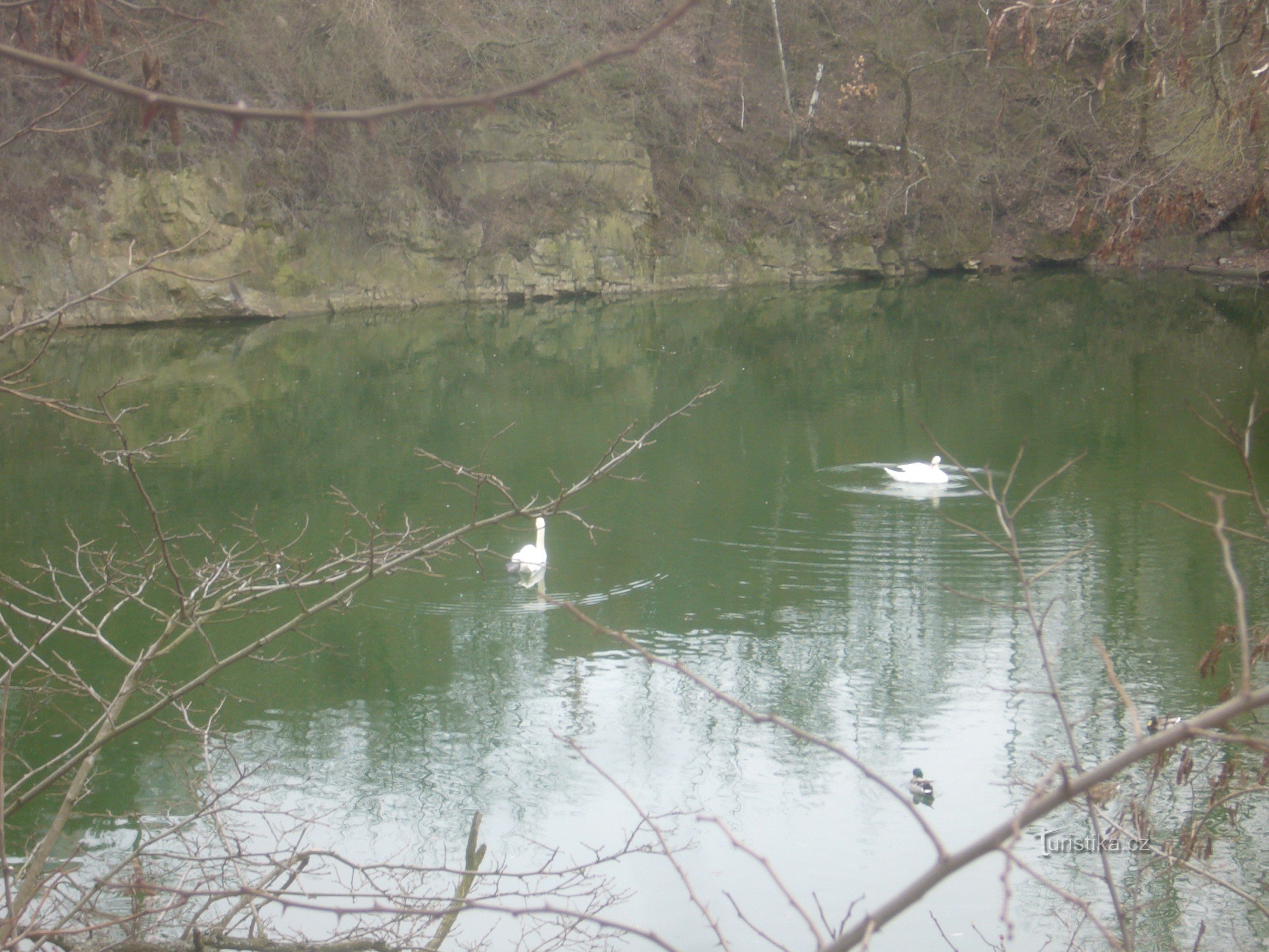 Wild Garden Hostivař