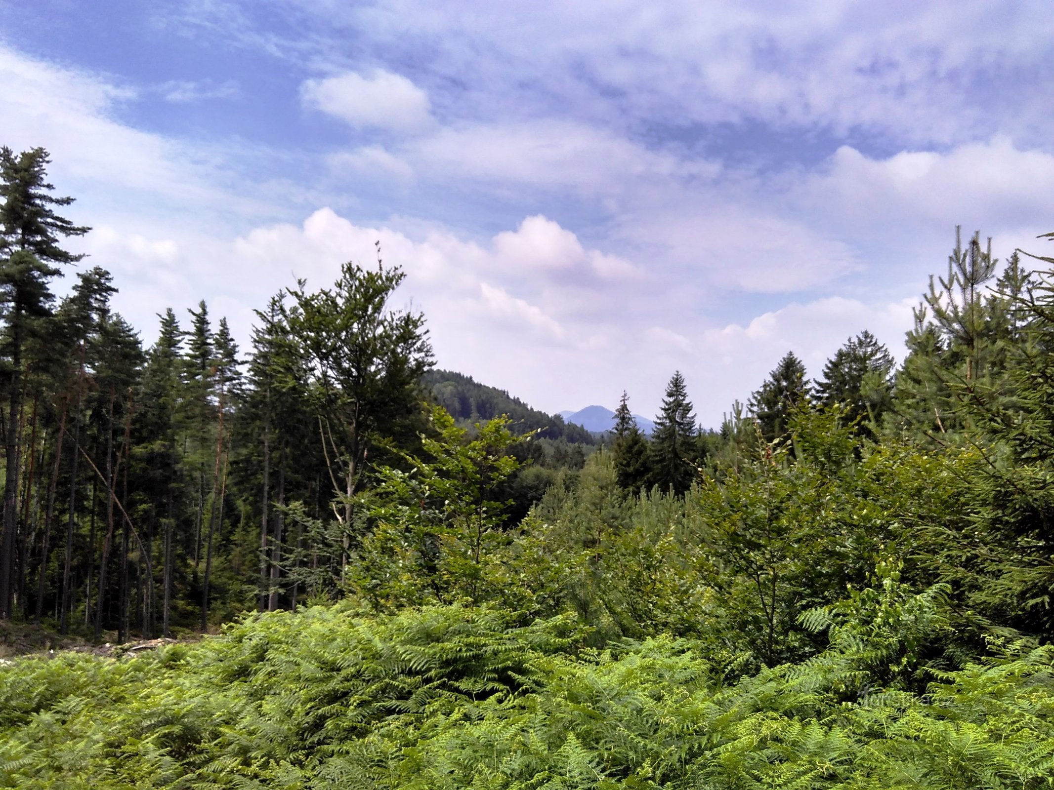 montanhas selvagens da Lusácia